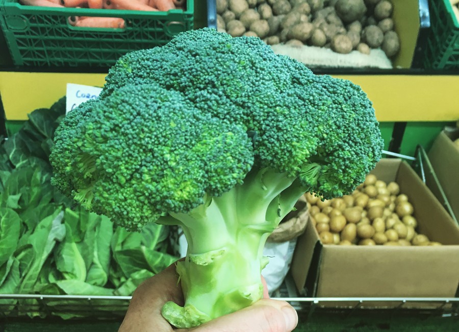 Why you should eat broccoli every day! Catherine Arnold Nutrition